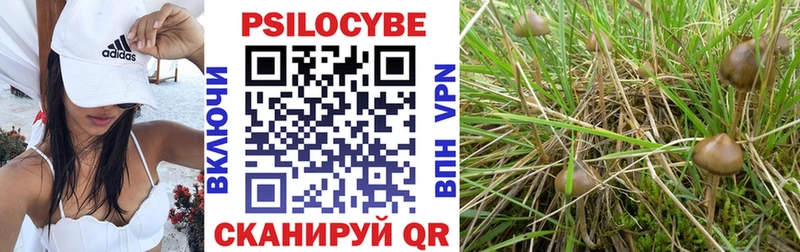 как найти наркотики  Нефтеюганск  Галлюциногенные грибы Cubensis 